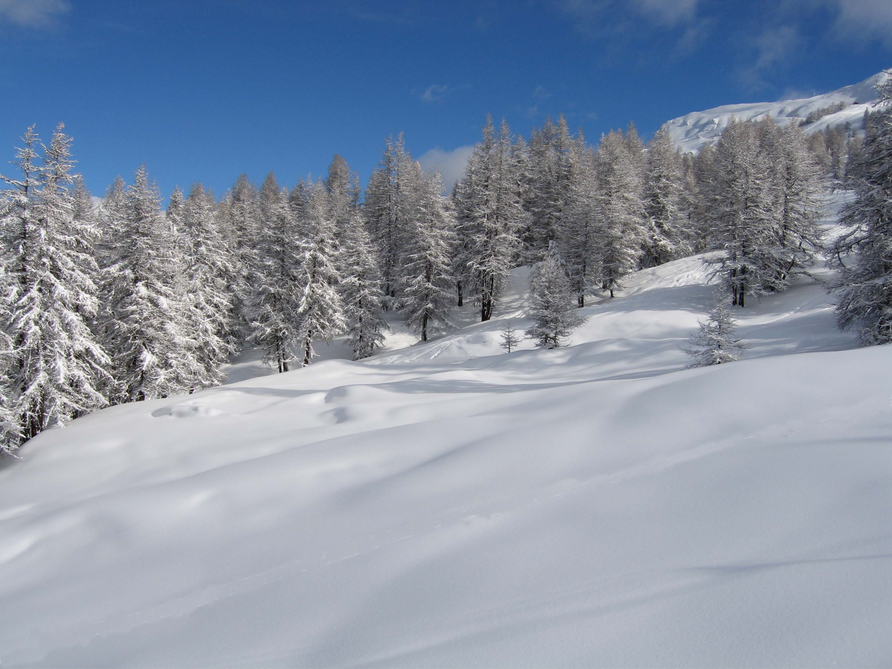 Paesaggio..